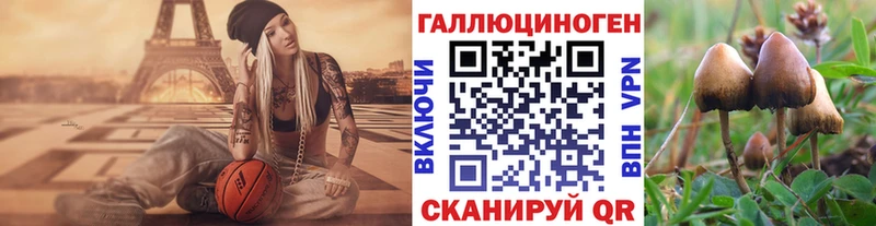 OMG онион  Зея  Галлюциногенные грибы Cubensis  где продают  