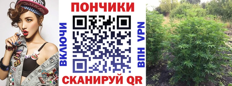 МАРИХУАНА White Widow  закладки  MEGA зеркало  Зея 